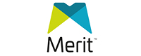 Merit Display Logo